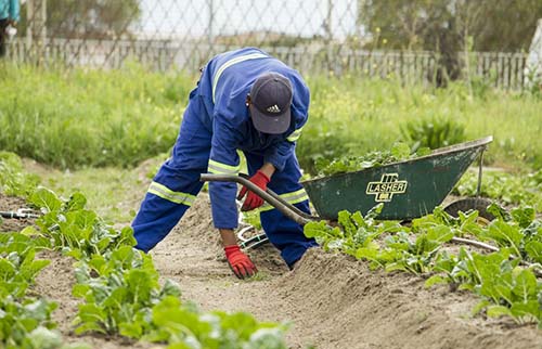 bedford-mowing-pros-gardener